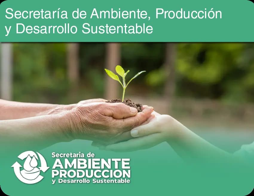 Banner (Imagen) Municipalidad de Rawson Chubut que muestra Texto de La Nueva Capital