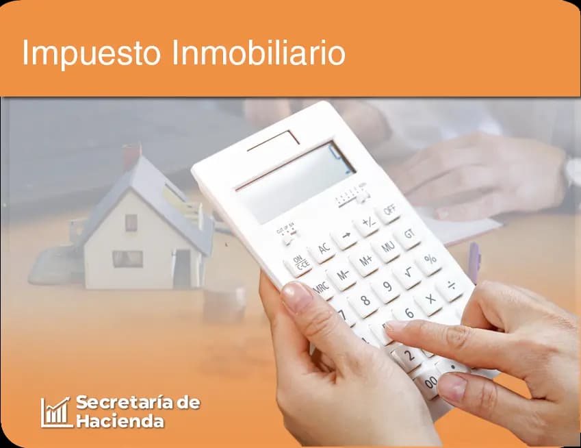 Banner (Imagen) Municipalidad de Rawson Chubut que muestra Texto de La Nueva Capital