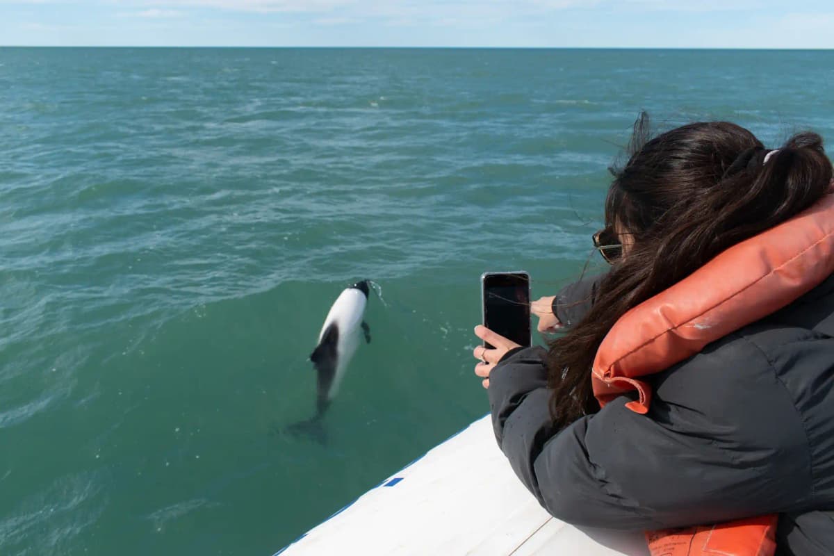 Experiencia turística 9