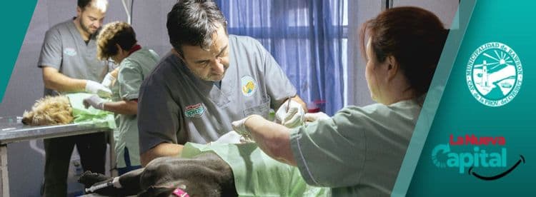 Imagen de la noticia que habla sobre: “LA MUNI EN TU BARRIO”: NUEVA CAMPAÑA GRATUITA DE CASTRACIÓN Y VACUNACIÓN ANTIRRÁBICA EN EL ÁREA 12 DE RAWSON