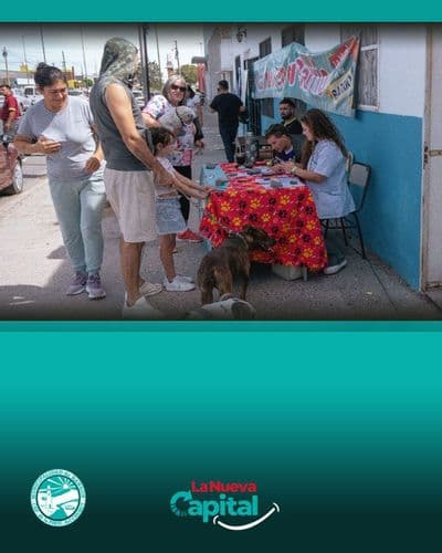 Imagen del carrusel que muestra la noticia o novedad LA MUNICIPALIDAD DE RAWSON LLEVÓ ADELANTE UNA JORNADA DE CASTRACIÓN Y VACUNACIÓN GRATUITA EN EL ÁREA 12